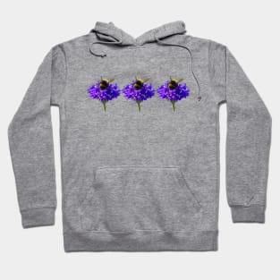 Three Cornflower with Bumblebee Floral Photos Hoodie